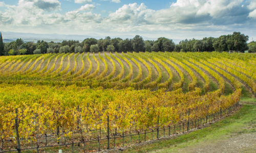 Nyheter på Vinmonopolet fra Mars 2026